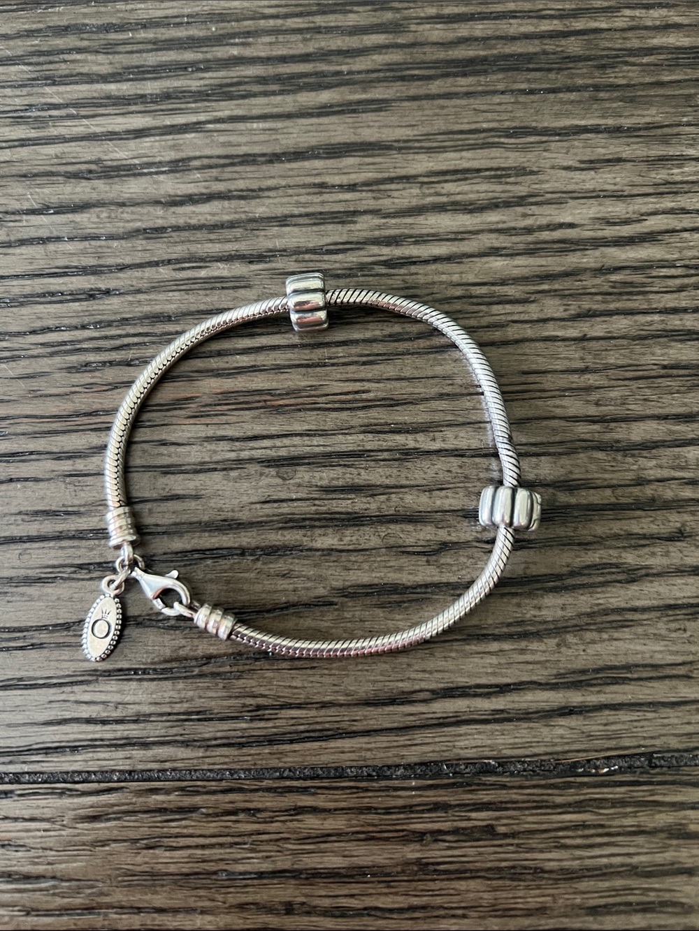 Pandora Silver Snake Chain Bracelet